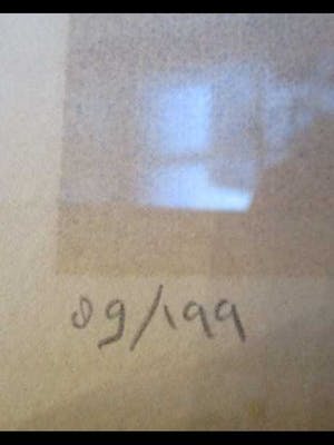 Ilona Schmit - Schaatsen kopen? Bied vanaf 75!