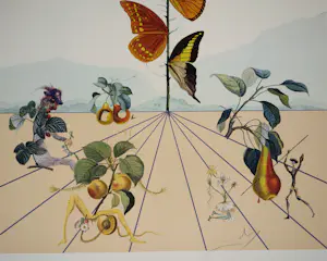 Salvador Dali - Flordali, De vlinderroos, originele litho kopen? Bied vanaf 200!