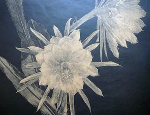 Dora Struick du Moulin - Witte cactus -litho circa 1920- kopen? Bied vanaf 35!