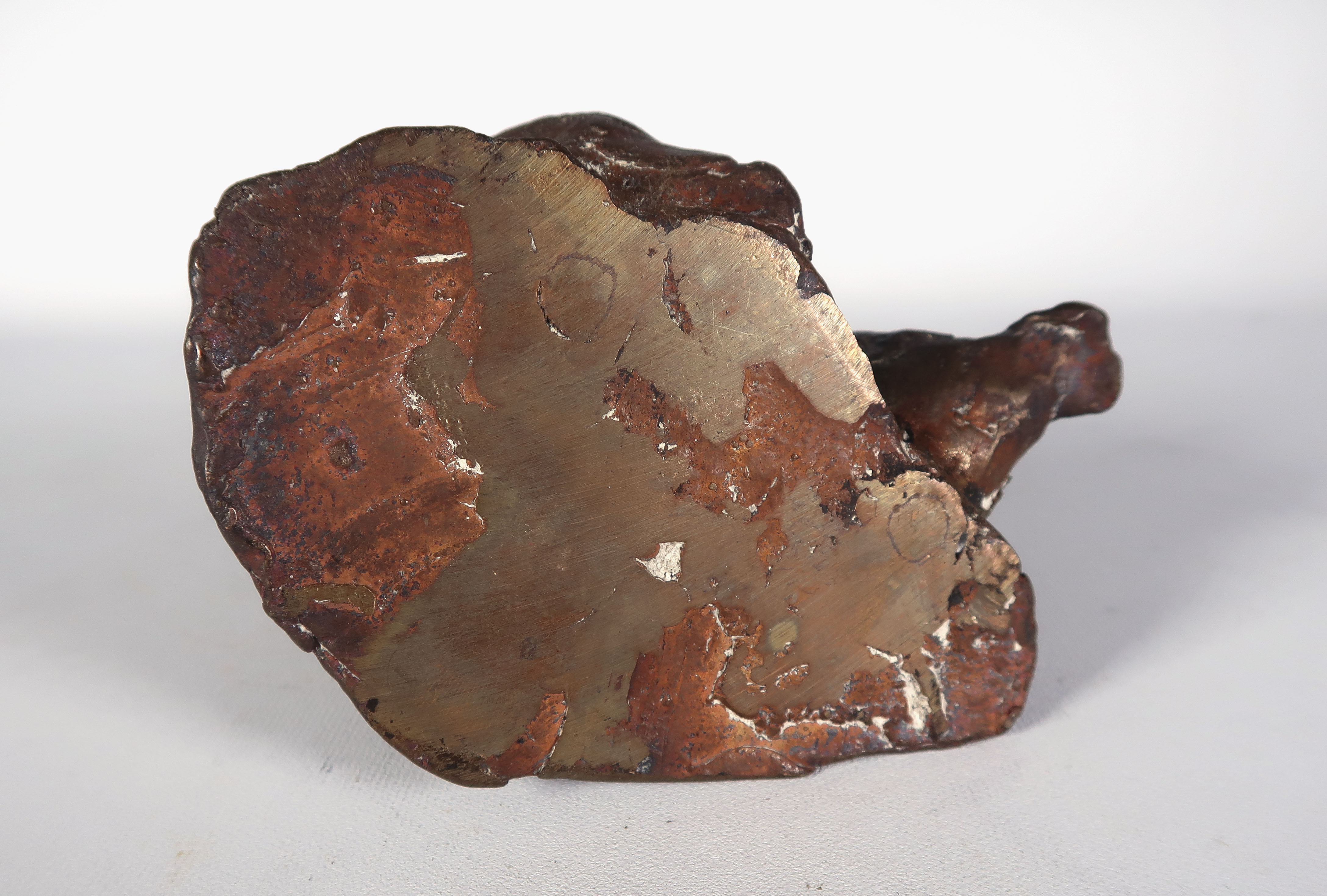 Vera de Haas - Brons, Gansjes II kopen? Bied vanaf 100!