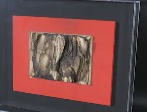 Bernard Aubertin - Verbrand boek op hout in plexiglas box, Livre brulé kopen? Bied vanaf 500!