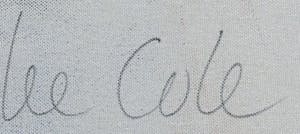 Lee Cole - Zonder titel kopen? Bied vanaf 30!