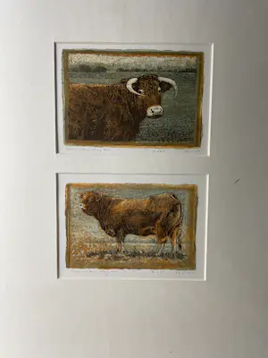 Han van Hagen - Stieren kopen? Bied vanaf 100!