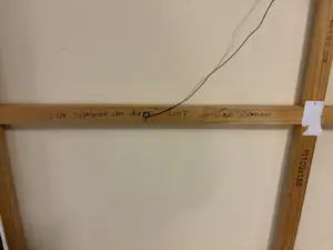 Theo Broeren - De syphonie der dieren kopen? Bied vanaf 100!