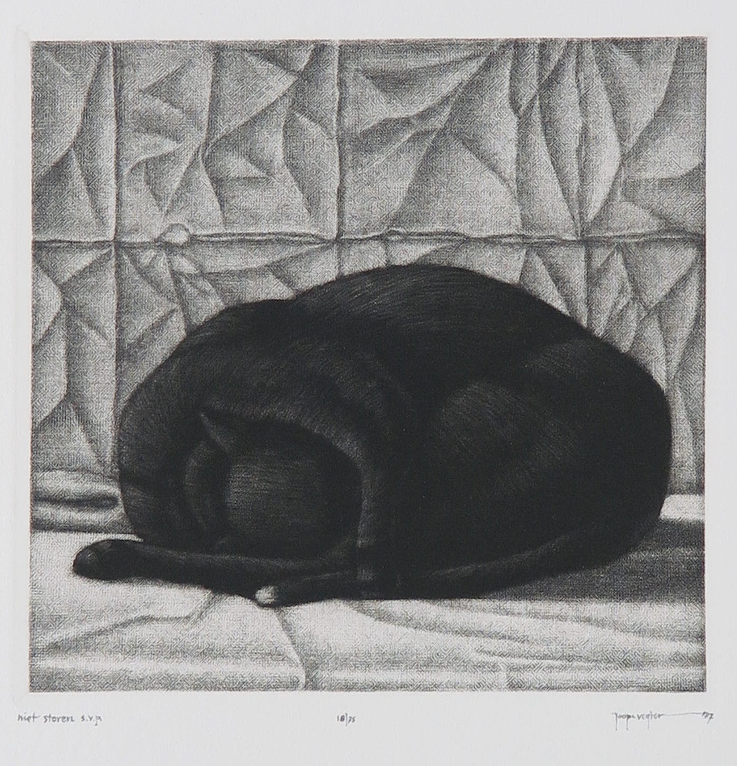 Joop Vegter - Mezzotint, Niet storen s.v.p. kopen? Bied vanaf 60!