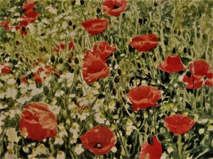 Ger van Dijck - Galerie Mia Joosten - GROOT! gesigneerde Gouache "Voorjaarsweide met Klaprozen" kopen? Bied vanaf 10!