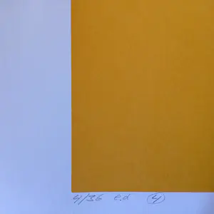 Gijs Keizer - Abstract/minimalistisch kopen? Bied vanaf 30!