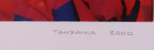 Niet of onleesbaar gesigneerd - Foto, Tanzania - Ingelijst kopen? Bied vanaf 1!