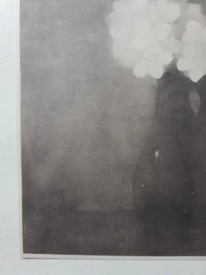 Jan Mankes - Jasmijn bloesem. kopen? Bied vanaf 49!