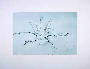 Michael Raedecker - Uit Stedelijk Museum Portfolio 2007, Zonder titel verkauft für € 52!