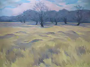 Henri van der Waals - Veluwe Zandverstuiving 1975 verkauft für € 150!