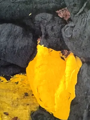 Bram Bogart - Onbekend kopen? Bied vanaf 495!