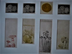 Peter de Leur - Bijzondere 8 delige Droge Naald ets "Dag, Nacht en Paddestoelen" gesigneerd kopen? Bied vanaf 10!