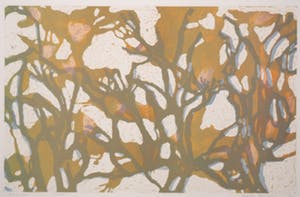 Judith ten Bosch - Litho, Groei kopen? Bied vanaf 1!