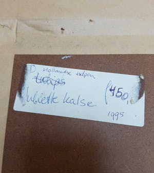 Niet of onleesbaar gesigneerd - Hollandse Tulpen. Collage/Gemengde techniek. Juliette Kalse? kopen? Bied vanaf 1!