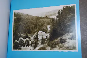 Vincent van Ojen - Huis in het bos kopen? Bied vanaf 40!