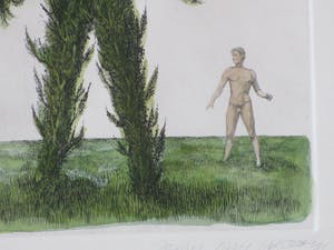 Jean Paul Vroom - Metamorfose - Kleurets kopen? Bied vanaf 1!