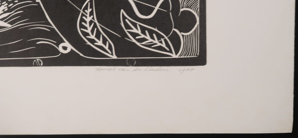 Thomas van der Linden - Thomas van der Linden: Lino, Concert des visages brulees kopen? Bied vanaf 1!