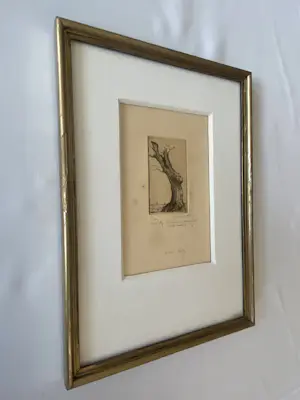 Dirk Baksteen - Rode Wilg kopen? Bied vanaf 40!