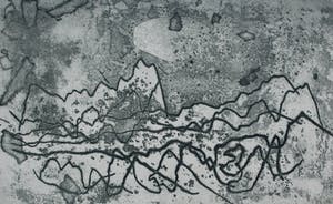 Wout van Heusden - Ets - 1975 kopen? Bied vanaf 55!