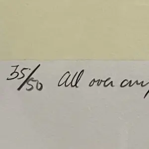 Jochum Bakker - All over Anything kopen? Bied vanaf 150!