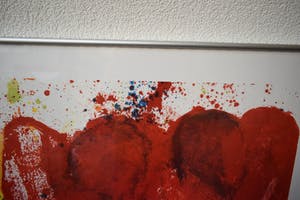 Jan Cremer - voor ASAP - Tulpen - Speciaal gesigneerd - Tulpen kopen? Bied vanaf 135!