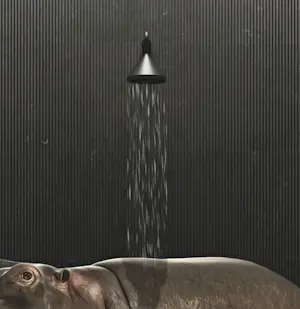 Mr. Strange - Hippopotamus Bath kopen? Bied vanaf 85!