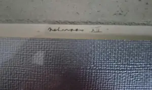 Dirk Baksteen - Kempische hoeve kopen? Bied vanaf 30!