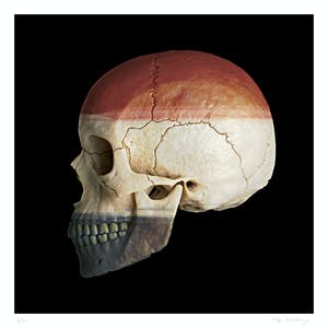 Mr. Strange - Netherlands Skull kopen? Bied vanaf 35!