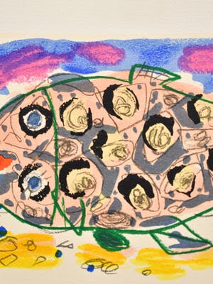 Kees Salentijn - Vis kopen? Bied vanaf 1!