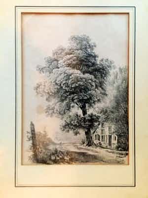 Alexander Joseph Daiwaille - Brede boom - Lithografie, Ingelijst verkocht voor € 39!