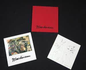 Anton Martineau - Pentekening + overzichtscatalogus in linnen cassette, Zonder titel verkocht voor € 1!