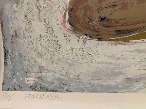 Bert Vredegoor - Troostrijk kopen? Bied vanaf 35!