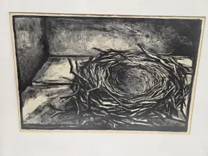 Aart van Dobbenburgh - Vogelnest kopen? Bied vanaf 20!