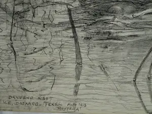 Theo van Hoytema - Litho, Drijvend nest van een dodaars, Texel - 1913 kopen? Bied vanaf 10!