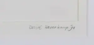 Desiré Haverkamp - Collage, Adriaan van der Kuip kopen? Bied vanaf 1!