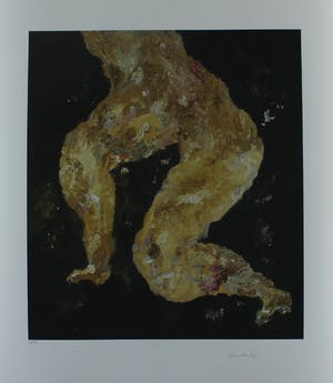 Armando - Handgesigneerde giclee: Benen kopen? Bied vanaf 79!