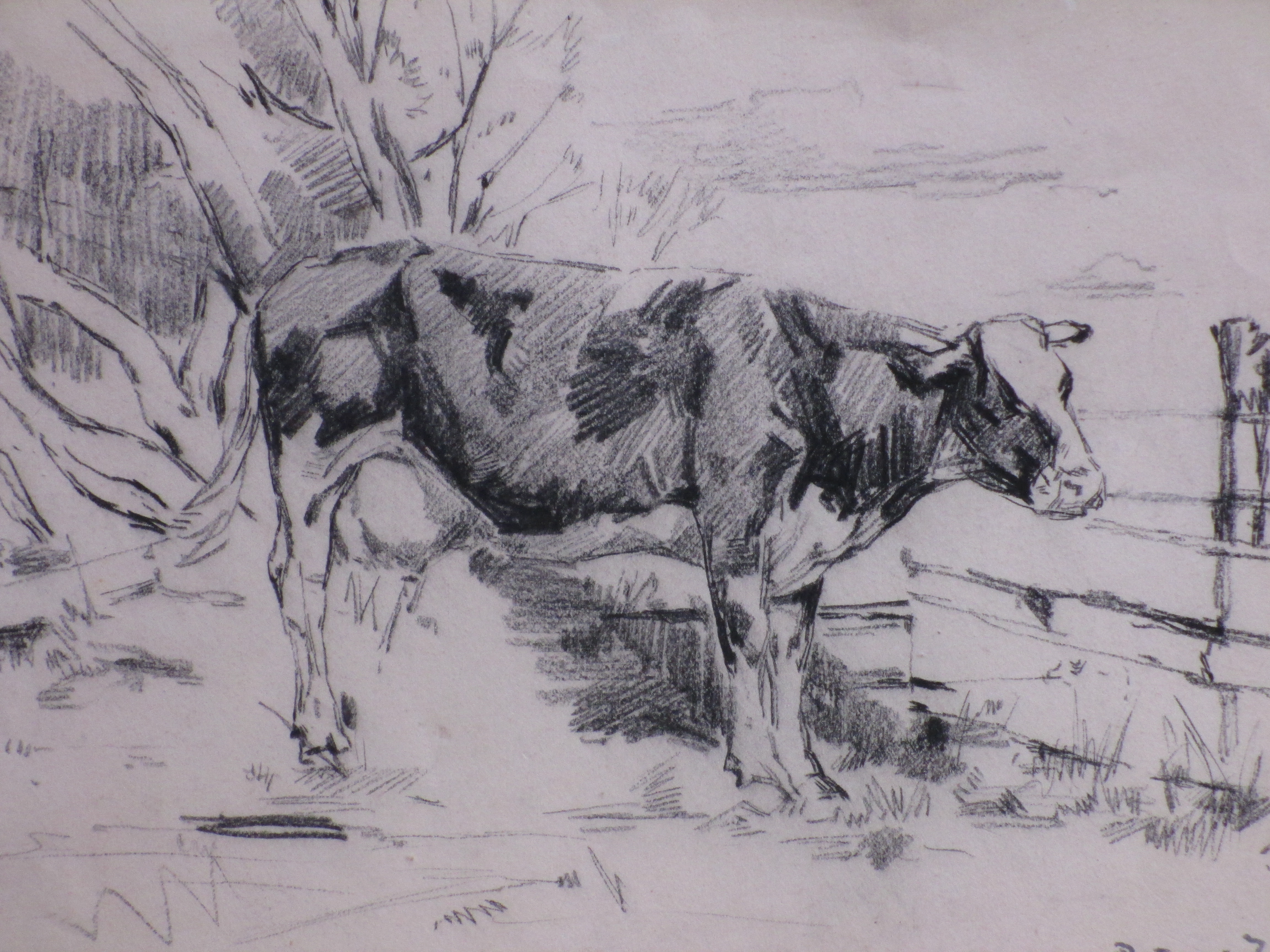Pieter de Zwart - Koe in de wei - Tekening kopen? Bied vanaf 25!