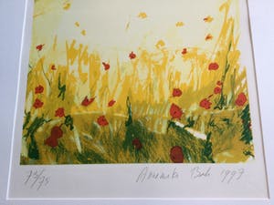 Annemiki Bok - Voorjaar & Zomer | set van 2 kleuren zeefdrukken - ingelijst kopen? Bied vanaf 69!