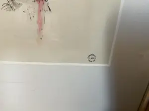 Peter Vos - Narretjes kopen? Bied vanaf 200!