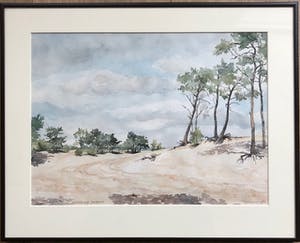 Lies Veenhoven - Drunense Duinen - Aquarel kopen? Bied vanaf 40!
