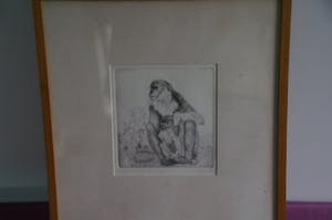 Edwin Kragten - Droge naaldets twee aapjes kopen? Bied vanaf 50!