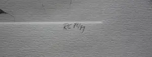Rob Cox - 2 etsen - grafiek erotiek - 1978/1979 kopen? Bied vanaf 70!