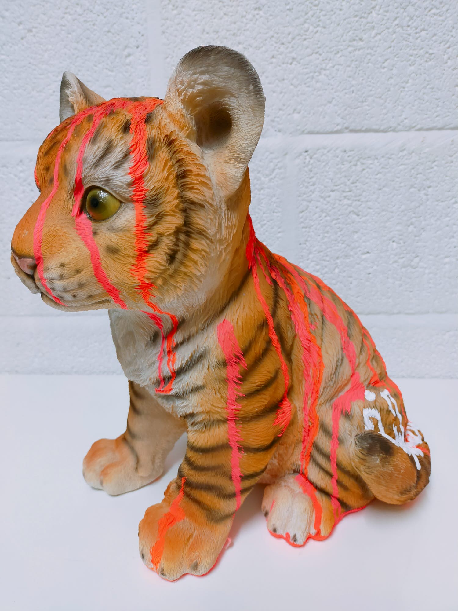 Hannes D'Haese - Tijger welp verkocht voor € 1!