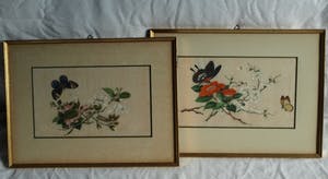 Niet of onleesbaar gesigneerd - 2 Oude ingelijste gouaches (?) op papier , Vlinders kopen? Bied vanaf 1!