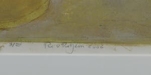 Ru van Rossem - Ets en aquatint, Tijgersprong - Ingelijst kopen? Bied vanaf 70!