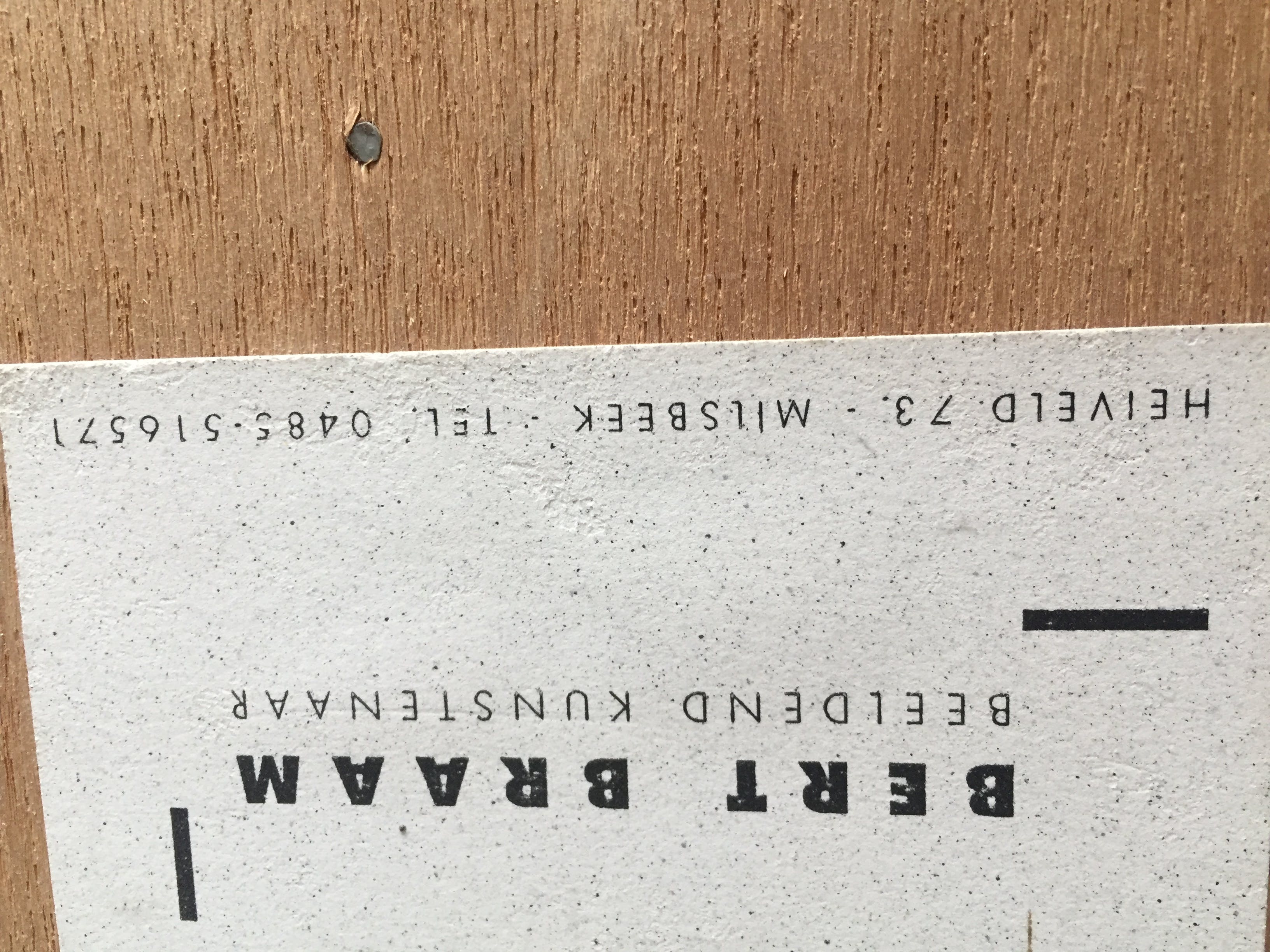 Bert Braam - Het verhaal van de schelp en de tol kopen? Bied vanaf 500!