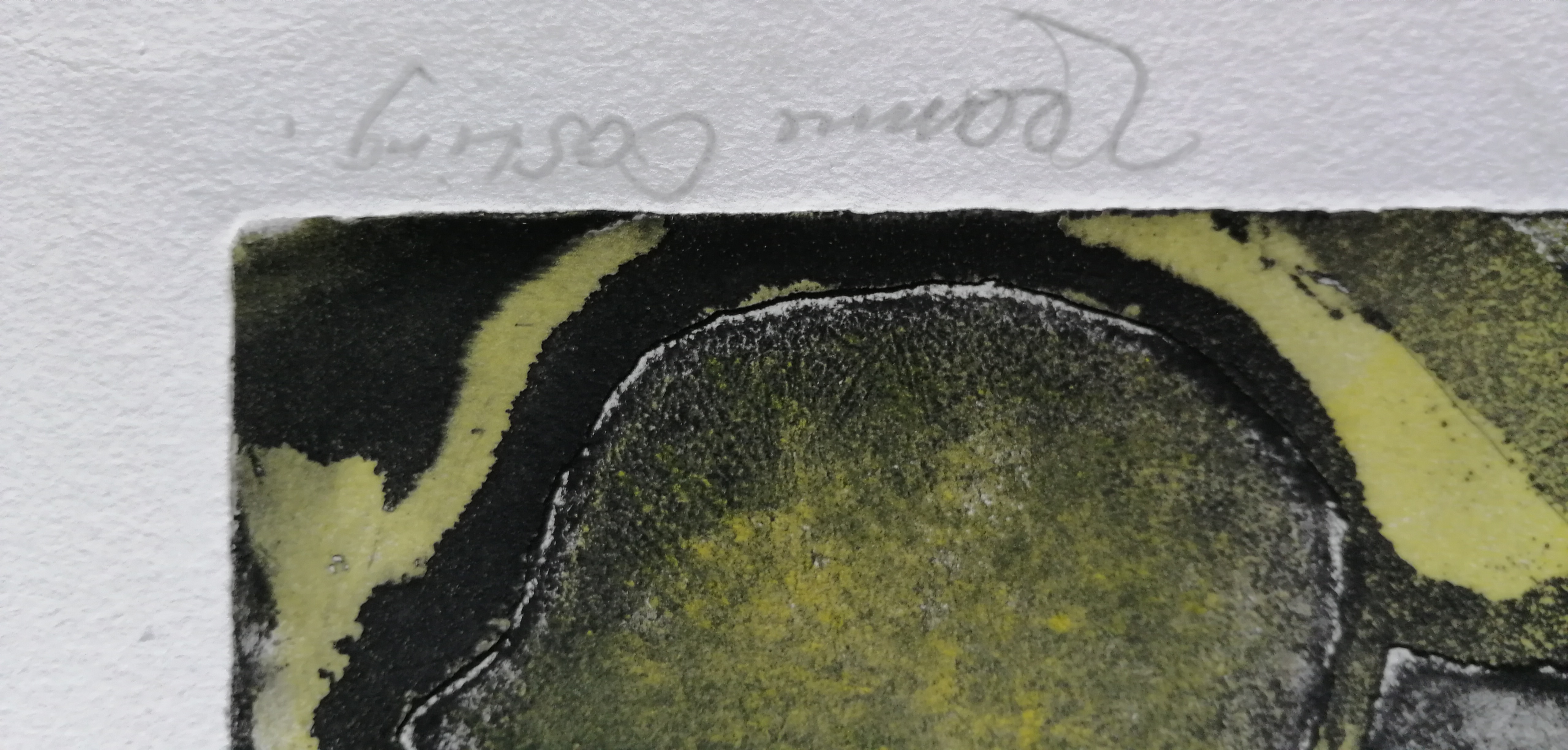 Jeanne Bieruma Oosting - De zeeëgels kopen? Bied vanaf 80!