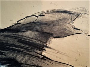 Dick Goudriaan - Groot en Krachtig Houtskool op papier "Wilde Hond" gesigneerd kopen? Bied vanaf 1!