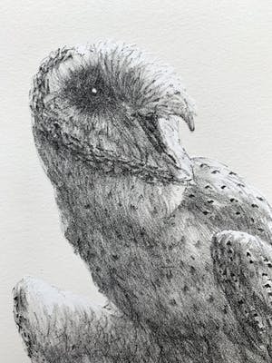 Peter Vos - litho | 'Oude man met uil' | 1986 kopen? Bied vanaf 225!